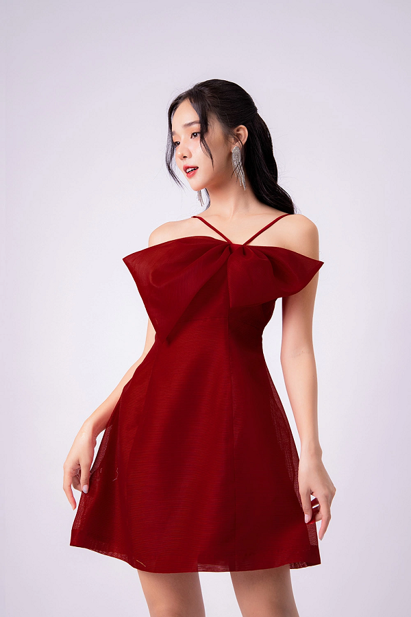 Mẫu đầm sang trọng cho các quý cô thời thượng