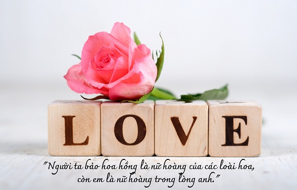 Stt hoa hồng hay, thể hiện tình cảm chân thành