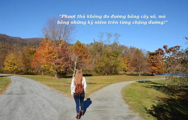 Stt đi xa một mình ý nghĩa