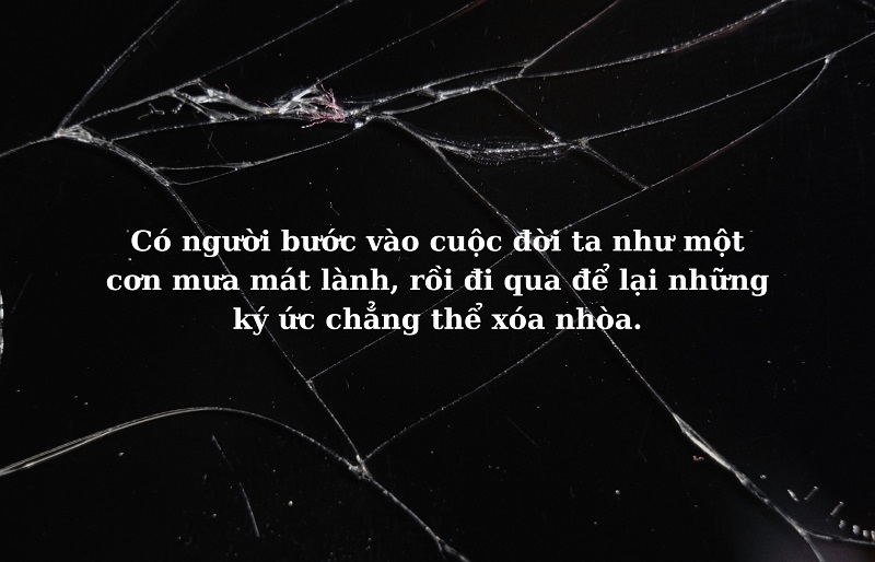 Stt hay về cuộc sống tình yêu