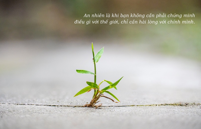 Stt hay về cuộc sống an nhiên, bình yên