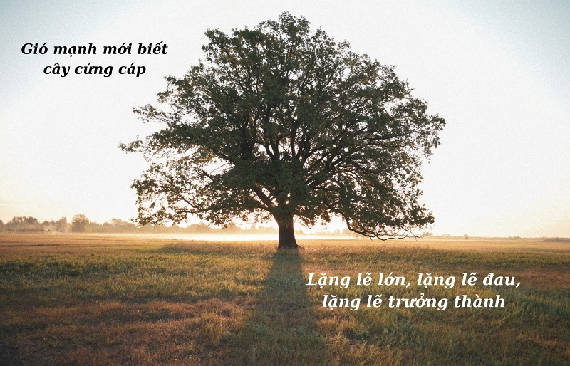 Stt ngắn hay về cuộc sống (dễ nhớ, dễ viral)